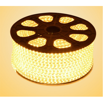 5050 LED s’allume AC110V LED bande lumineuse LED Strip